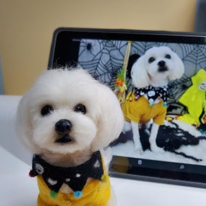 마음을 전합니다. ❤️ (26년 상반기예약주문), 히망울펠트