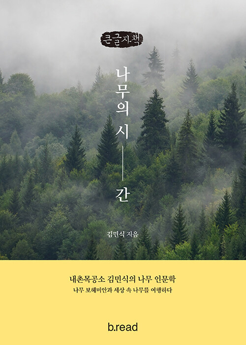 나무의 시간 (큰글자책) (내촌목공소 김민식의 나무 인문학)