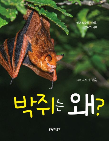 박쥐는 왜?: 알면 알수록 신비한 박쥐의 세계