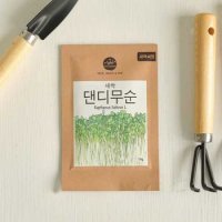 프레시가든 새싹씨앗 (댄디무순)