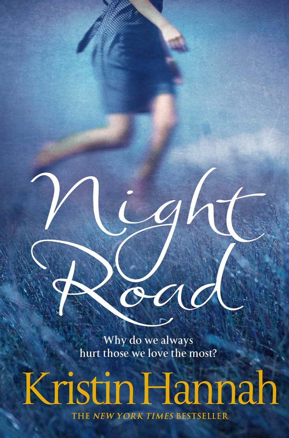 Night Road (’나의 아름다운 고독’의 저자 크리스틴 해나 신작)