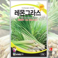 레몬그라스 씨앗 20립 / 다년생 베트남 향신료 채소 허브 허브씨 Lemon grass seed 세계종묘  1개