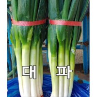 야채맘 대파 2kg 내외 1단