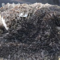 배터짐 횡성 한우 흑양1kg 소내장 해장국 내장탕 곱창 막창