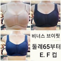 솔브 비너스 브이핏 스포츠브라 E F컵 N vbrs119