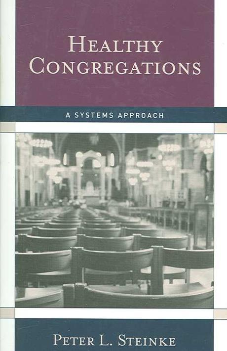 Healthy congregations : a systems approach