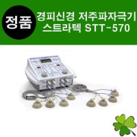 스트라텍 국산 2인용 경피신경 저주파자극기 STT-570