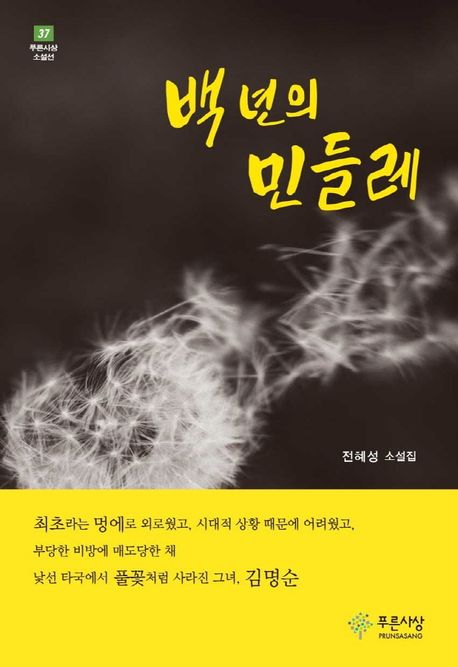 백 년의 민들레  : 전혜성 소설집