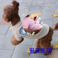 강아지 핑크토끼 맨투맨 1P 애견 보온 겨울옷 외출용