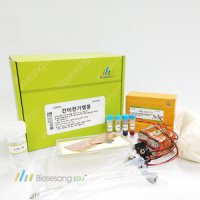 간이 전기영동 KIT (5인KIT)