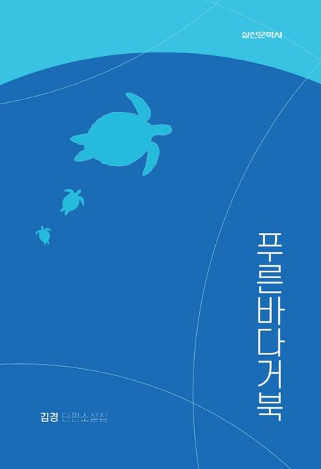 푸른바다거북 : 김경 단편소설집 표지이미지