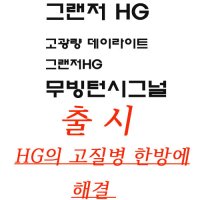 [051카] 그랜저HG 아이라인 무빙턴시그널,고광량데이라이트