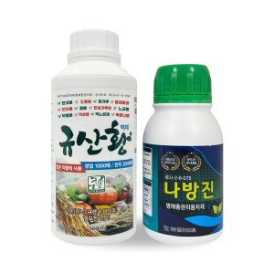 규산황 최저가 가성비상품