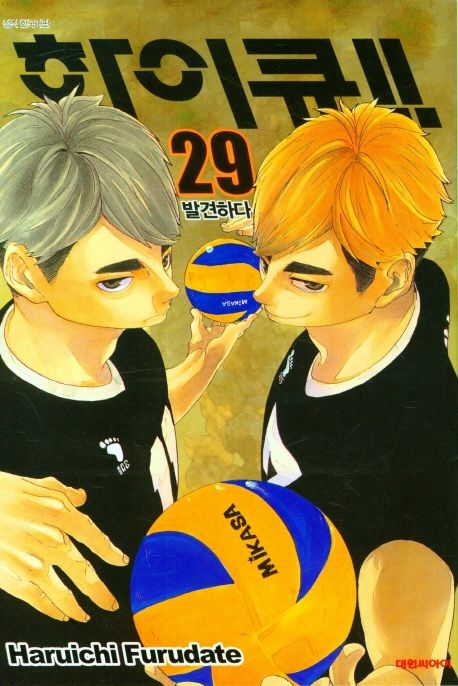 하이큐!! 29 (발견하다)