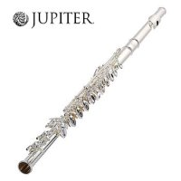 쥬피터 플룻 플루트 flute 플룻가방 주피터 악기케이스 JFL700REC