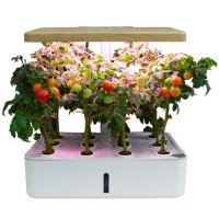 식물재배기 수경 재배기 실내 스마트팜 LED 토마토