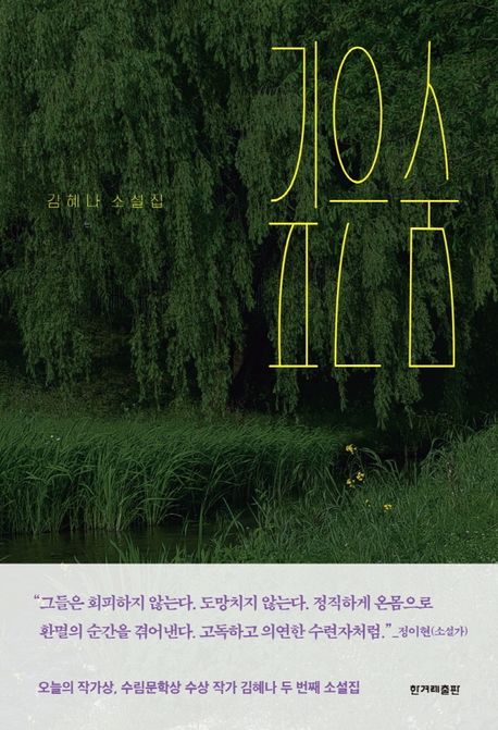 깊은숨  : 김혜나 소설집