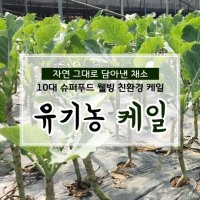 [산지애뜰] 친환경 유기농 케일 즙용 1kg