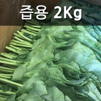 [산지애뜰] 친환경 유기농 케일 즙용 2kg