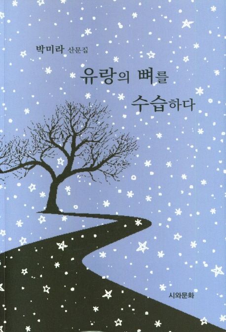 한낮인데 어두운 방