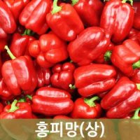 홍피망(상) 10kg, 5kg 1박스 크기 다양 두리반농산