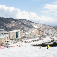 홍천 소노문호텔 스키 비발디파크호텔 홍천 더파크호텔숙박 대명 홍천호텔 사용