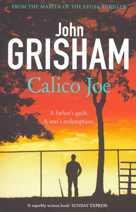 Calico Joe (An unforgettable novel about childhood, family, conflict and guilt, and forgiveness)