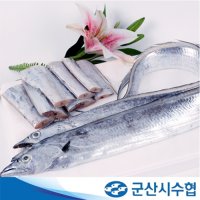 [군산시수협] 군산 토막먹갈치  2미(550g이상)