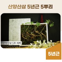 산양삼 5년근 5뿌리 장뇌삼 장래삼 자연산 산양 산삼 먹는방법 장내삼 선물세트