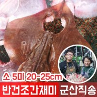 국내산 반건조 간재미 (가오리) 자연건조 소 5미