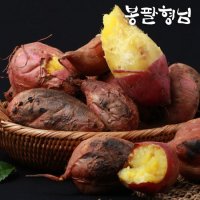 싱싱한 꿀고구마 특상 5kg 산지농장