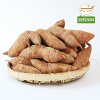 [태안직송] 안면도 황토 꿀 호박고구마 (중상)3kg/5kg/10kg  5kg