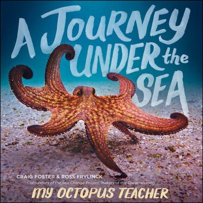 (A)Journey under the sea