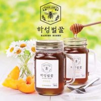 [북부농협]하성벌꿀(야생화) 500g x 1병