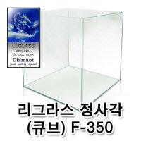 리글라스 40 큐브 LEGLASS Cube F-400