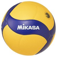 하이큐 미카사 배구공 5호 FIVB 배구 공인구 V300W