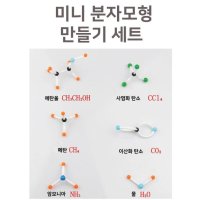 DIY 미니 분자 모형 구조 만들기 세트 생물 고등 키트