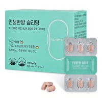 인생한방 슬리밍 녹차카테킨 가르시니아 체지방 감소 다이어트 보조제 800mg x 90정