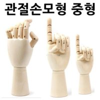 관절손모형 중형