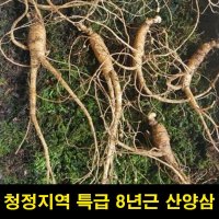 고씨네 산양삼8년근6뿌리 자연삼 삼 산양삼 산양산삼