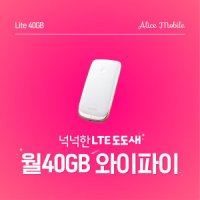 LG유플러스 국내 에그대여 휴대용 포켓와이파이 LTE 데이터 월40GB