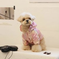 [AWESOME PUPPY] 오로라 바람막이 (핑크)