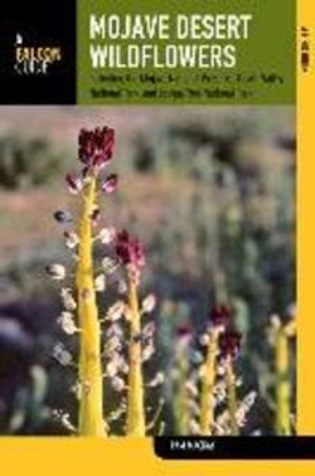Mojave Desert Wildflowers : A Field Guide To Wildflowers, Trees, And Shrubs Of The Mojave Desert : Including The Mojave National Preserve, Death Valley National Park, joshua National park