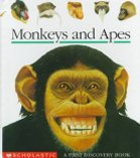 Monkeys and apes