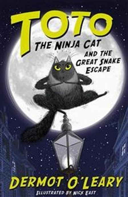 ToTo, The Ninja Cat and the Great Snake Escape