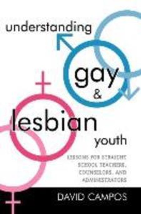 Understanding Gay And Lesbian Youth Paperback