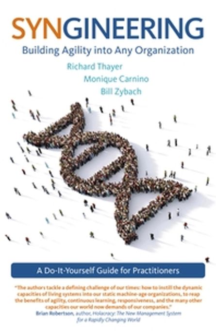 Syngineering: Building Agility Into Any Organization: A Do-It-Yourself Guide for Practitioners (Building Agility Into Any Organization: A Do-It-Yourself Guide for Practitioners)