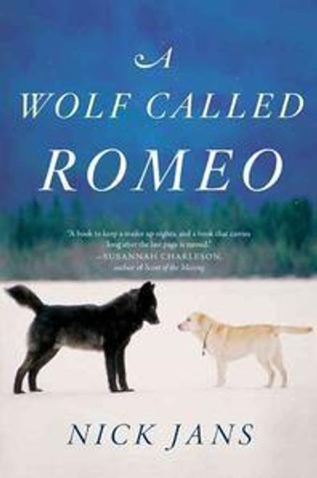 A Wolf Called Romeo Paperback