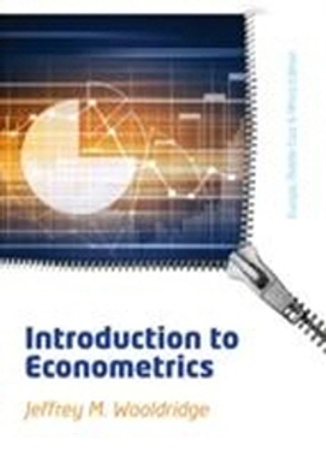 Introductory Econometrics Paperback (EMEA Edition)