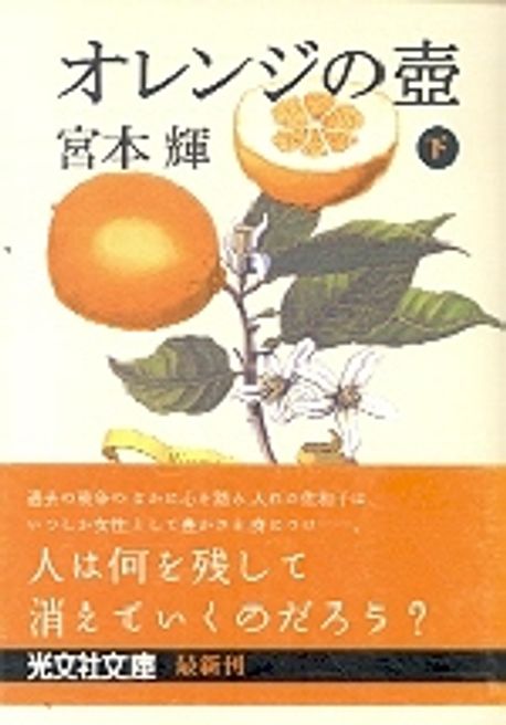 9784334733421